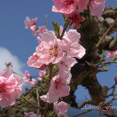 Holiday home Casa Da Barca *