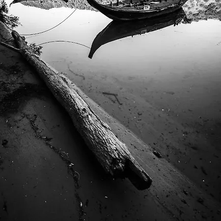 Дом отдыха Casa Da Barca Вила-Нова-ди-Фош-Коа