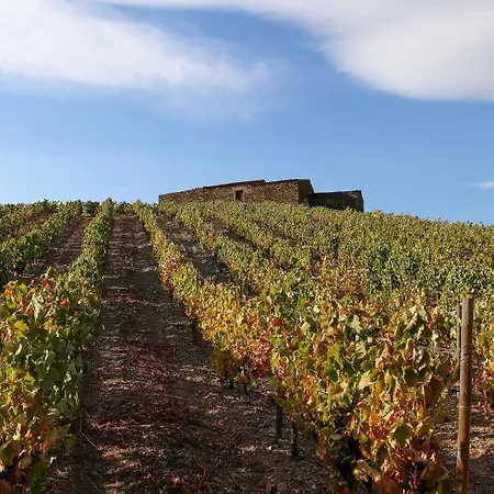 Casa Da Barca Дом отдыха