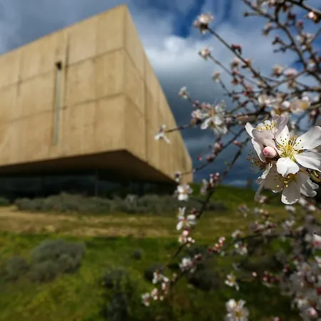 Дом отдыха Casa Da Barca