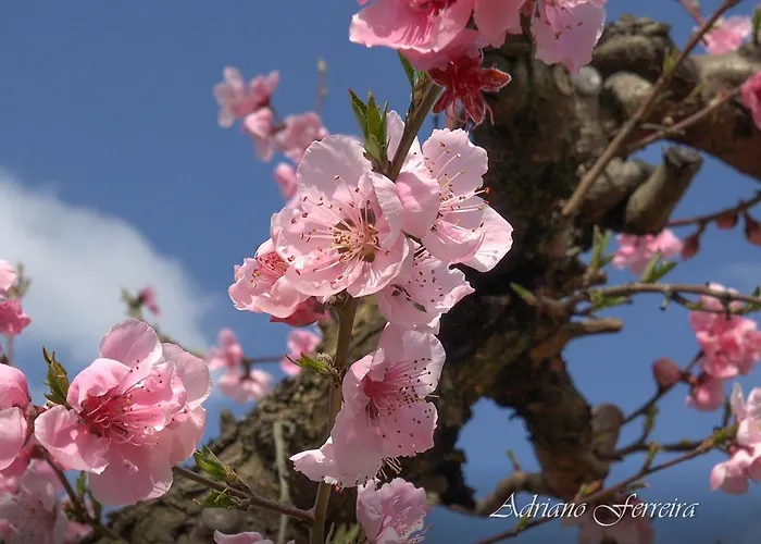 Feriehus Casa Da Barca *