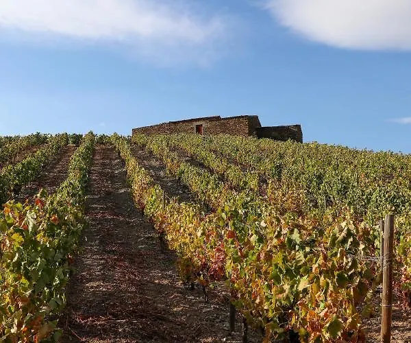 Casa Da Barca Nyaraló