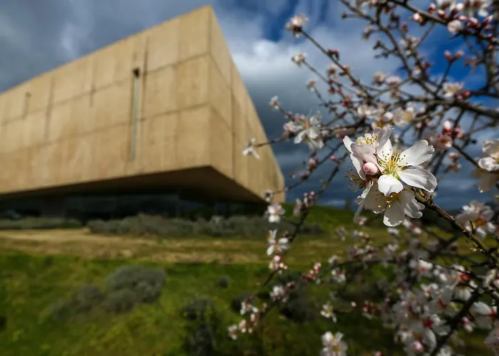 Feriehus Casa Da Barca